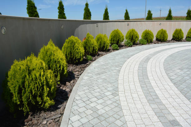 Best Driveway Paving Contractor  in Lake San Marcos, CA